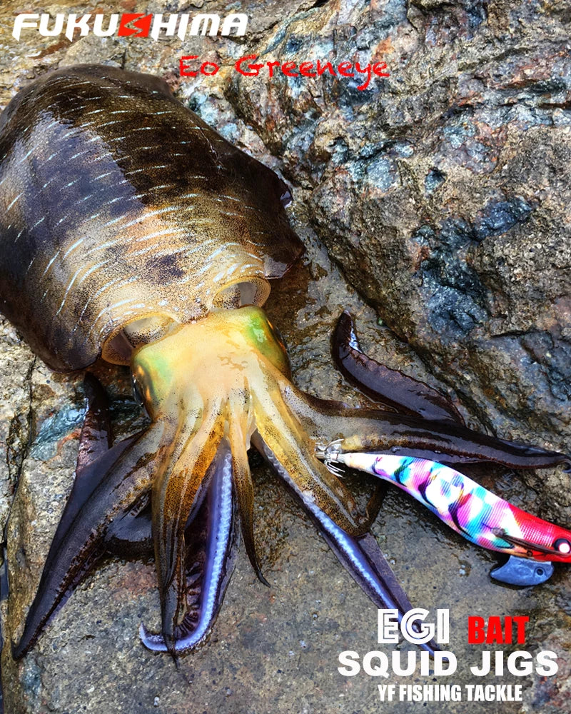 Uad9d76bc43384a76a0aea7be9ce0bb0a4